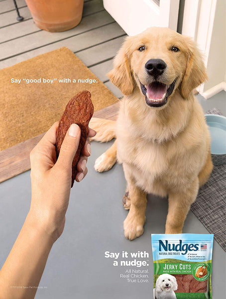 Nudges Homestyle Chicken Pot Pie Dog Treats