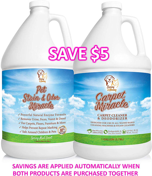 Pet Stain & Odor Remover, Enzyme Cleaner, Odor Eliminator, Best Carpet Stain Remover, Pet Odor Eliminator, Stain Remover, Odor Neutralizer, Cat Urine Smell - Cleaner - Eliminator, Sunny and Honey, 1 Gallon