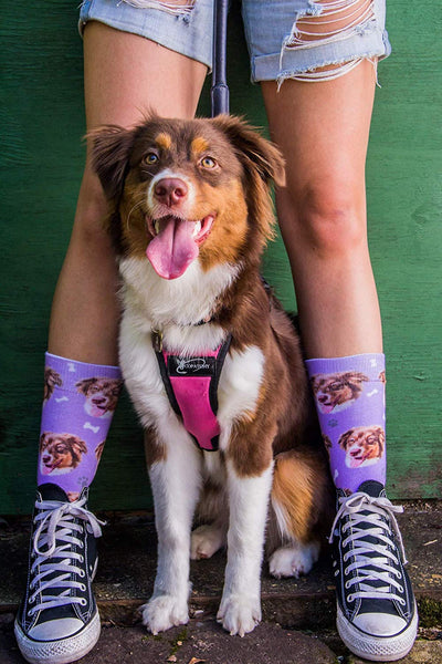 Custom Dog Socks - Put Your Dog on Socks!