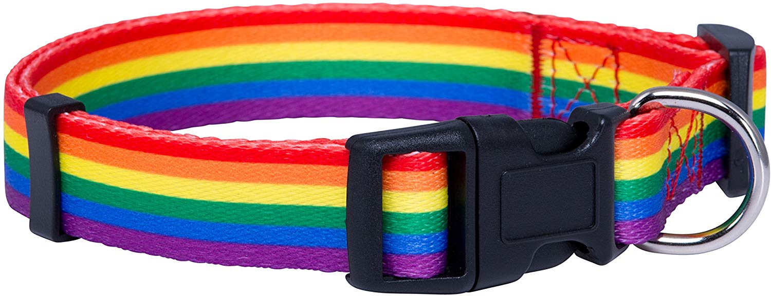 Native Pup Rainbow Flag Dog Collar