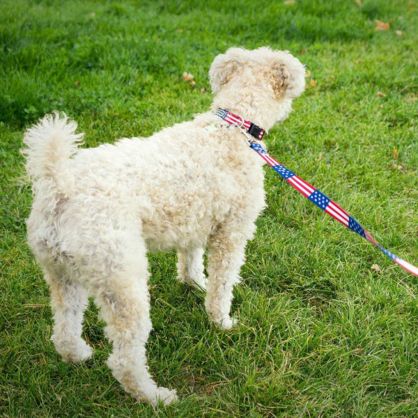 American Flag Dog Leash