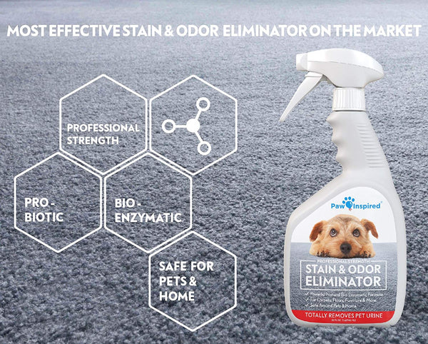 Paw Inspired Pet Enzyme Cleaner Spray | Enzymatic Cleaner for Dogs, Eliminates Dog Urine Smell | Enzymatic Cleaner for Cat Urine | Pet Odor Eliminator and Pet Stain Remover