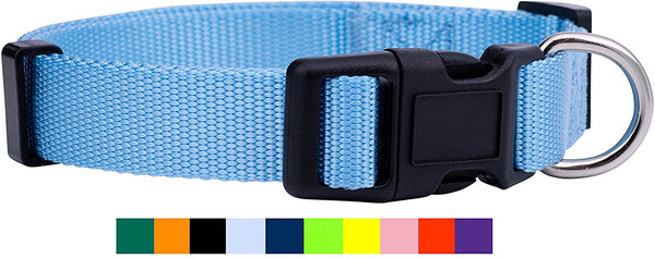 Native Pup Nylon Dog Collar Classic Solid Colors