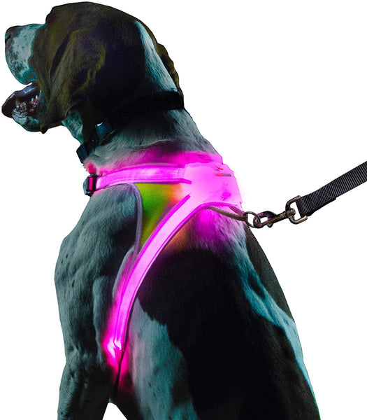 noxgear LightHound – Revolutionary Illuminated and Reflective Harness for Dogs Including Multicolored LED Fiber Optics (USB Rechargeable, Adjustable, Lightweight, Rainproof)