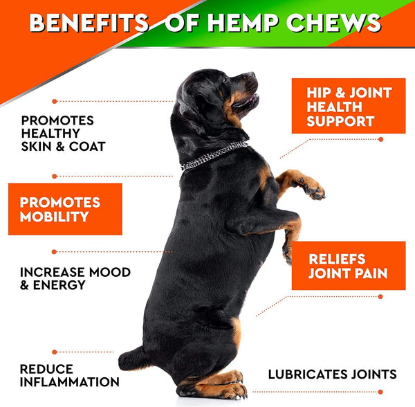 GOODGROWLIES Hemp Hip & Joint Supplement for Dogs - Made in USA - Glucosamine - MSM - Turmeric - Hemp Seed Oil Infused Treats - Natural Joint Pain Relief & Mobility - 120 Soft Chews