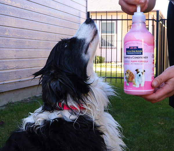 All Natural, Hypoallergenic | Gentle Puppy Shampoo + Conditioner with Aloe Vera | Antibacterial | pH Balanced | Tear Free | Detangler & Moisturizer | Odor Eliminator | Grooming Quality