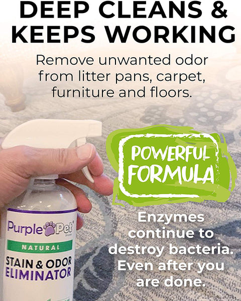 iPrimio Purple Pet Litter Urine Odor Eliminator Spray for Dogs and Cats - All Natural Enzyme Powdered - Made in USA