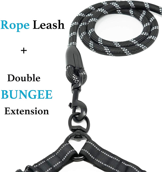 iYoShop Dual Dog Leash, Double Dog Leash, 360 Swivel No Tangle Double Dog Walking Training Leash, Comfortable Shock Absorbing Reflective Bungee for Two Dogs, Black, Medium Large