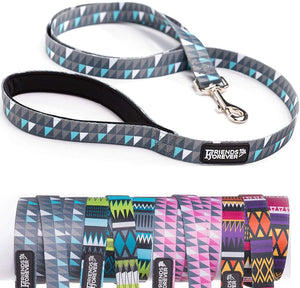 Friends Forever Durable Nylon Dog Leashes for Small Dogs to Large Dogs, Pattern Cat Leashes for Walking - Puppy Leash 5 Feet Long for Dogs & Cats