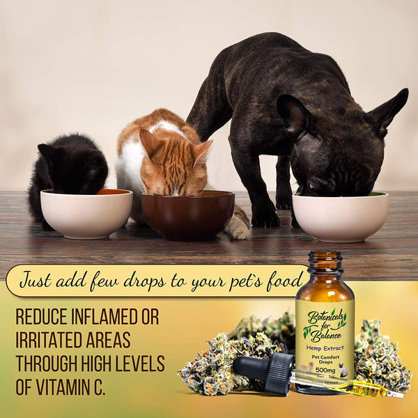 Botanicals for Balance Pet Drops Hemp Extract Supplements for Stress, Anxiety, Support Joints, Immune Function, Overall Wellness and Healthy Aging.