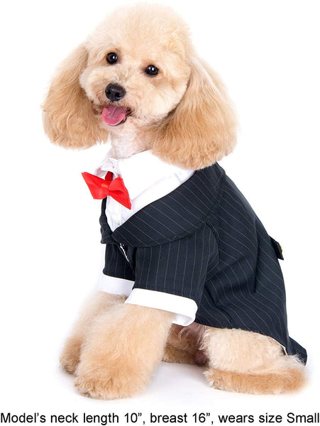 Alfie Pet - Oscar Formal Tuxedo with Black Tie and Red Bow Tie