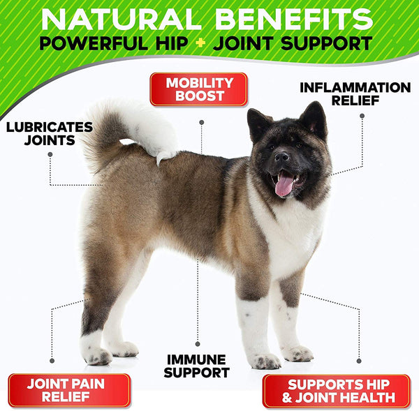 StrellaLab Hemp Treats + Glucosamine for Dogs - Hip & Joint Supplement -  w/Hemp Oil + Protein - Chondroitin, MSM, Turmeric to Improve Mobility &  Energy - Natural Joint Pain Relief, 120 Chews