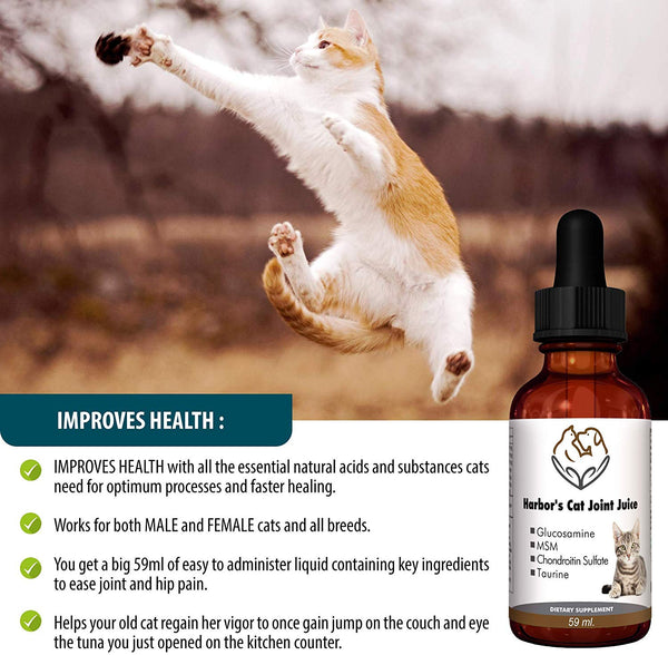 Harbor's Joint Juice 59ml - Cat Joint Supplement Liquid for Fast Pain Relief, Smooth Younger Hips. Natural Nutrients Glucosamine, MSM, Chondroitin, Hyaluronic Acid, Yummy Organic Beef Flavor