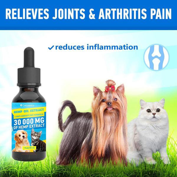 CANNAVICO Hemp Oil Dogs Cats - 30 000 mg - Pet Separation Anxiety, Joint Pain, Seizures, Chronic Pains, Anti-Inflammatory, Stress Relief- Calming Drops - Omega 3, 6, 9