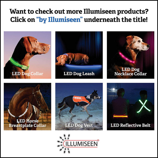 Illumiseen LED Dog Necklace Collar - USB Rechargeable Loop - Available in 6 Colors - Makes Your Dog Visible, Safe & Seen