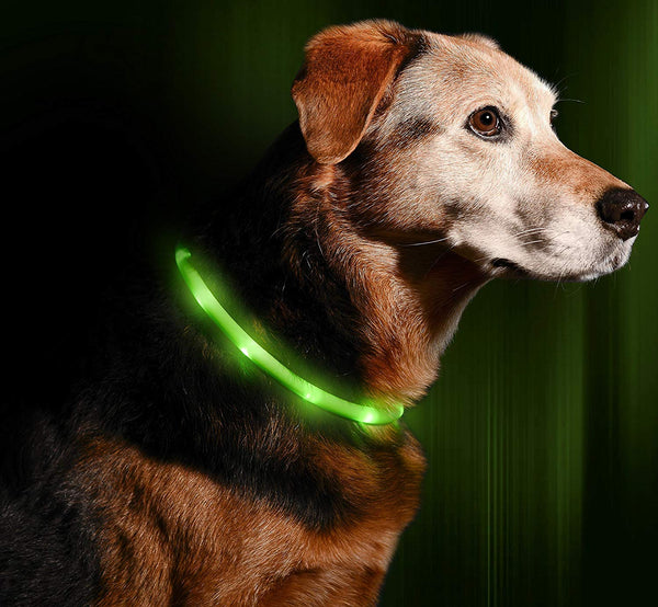 Illumiseen LED Dog Necklace Collar - USB Rechargeable Loop - Available in 6 Colors - Makes Your Dog Visible, Safe & Seen