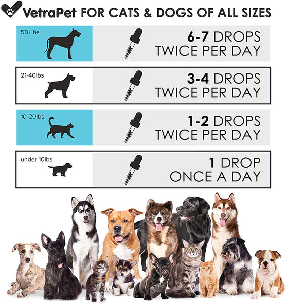 Hemp Oil for Dogs and Cats - Maximum Potency 10,000mg, 2oz - Premium Hеmp Oil Drops for Stress & Anxiety Relief - USA Made Advanced Formula - Supports Hip & Joint Health, Natural Inflammation Relief