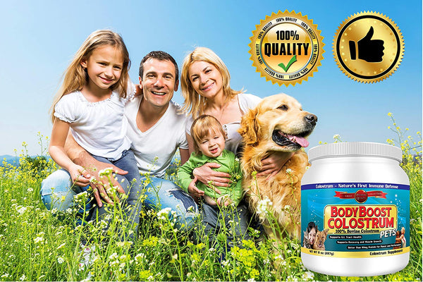 Colostrum Powder 8 oz. Pet, 100% Whole 1st Milking