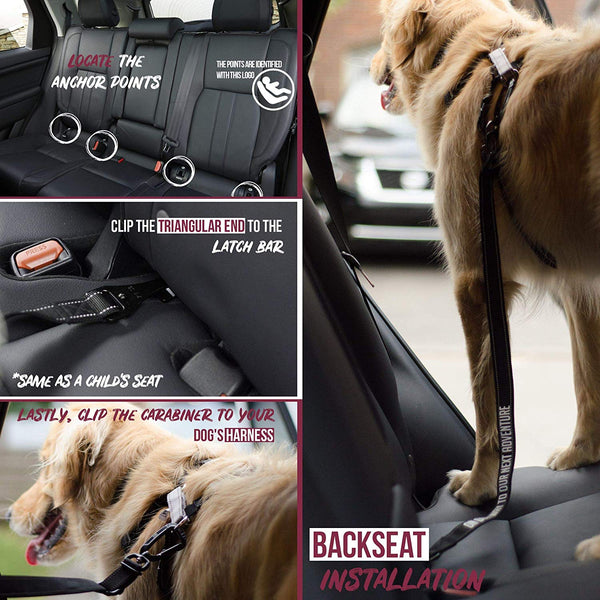 SÄKER All Metal Car Dog Tether - Safety Pet Restraint Fits Any Dog Harnesses - Can Be Used as a Traffic Leash, as a Backseat Attachment & in The Trunk