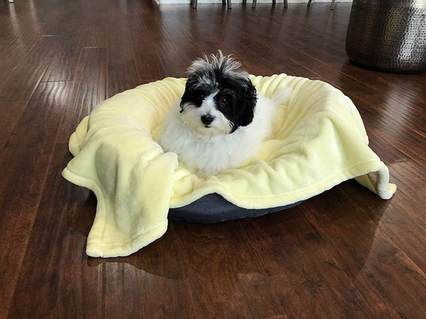 Higher Comfort Super Soft Premium Pet Blankets for Small Dogs, Puppies, Cats & Kittens - 30" x 40" - Great for Pet Beds and Carriers