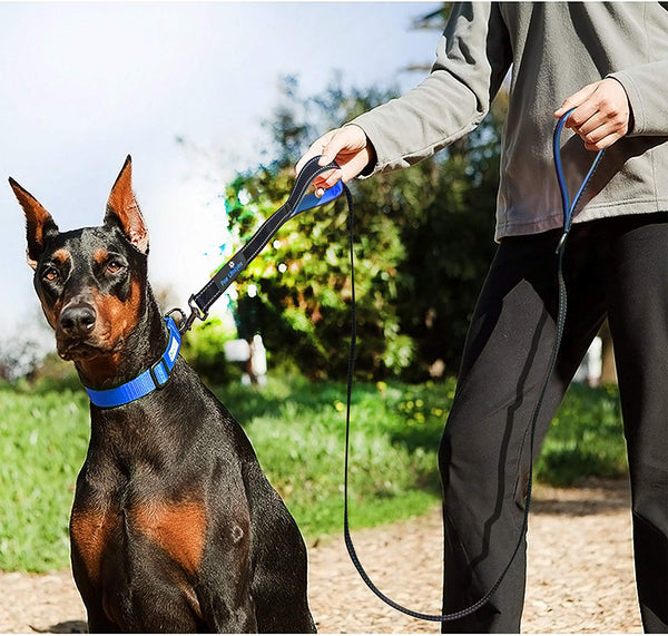 Paw Lifestyles Heavy Duty Dog Leash - 2 Handles - Padded Traffic Handle for Extra Control, 7ft Long - Perfect Leashes for Medium to Large Dogs