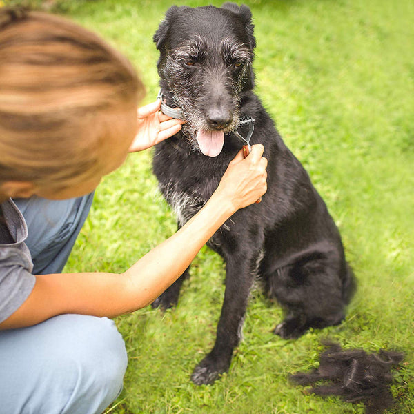 Paws Pamper Undercoat Rake for Small to Medium Dogs, and Cats