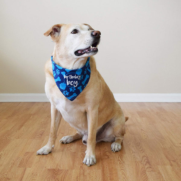 hecho Dog Birthday Bandana - Boy