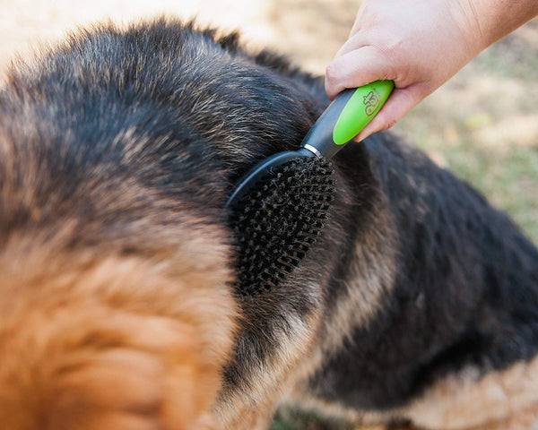 Pet Magasin Professional Grooming Brushes (Pack of 3) Double Sided Brush, Long Tooth Undercoat Dog Rake & De-Matting Comb for Dogs, Cats & Other Animals, Green & Black (DogBrushesTop)