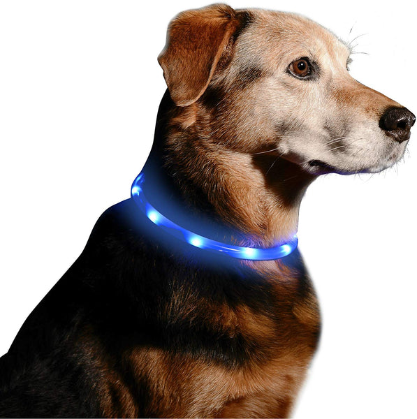 Illumiseen LED Dog Necklace Collar - USB Rechargeable Loop - Available in 6 Colors - Makes Your Dog Visible, Safe & Seen