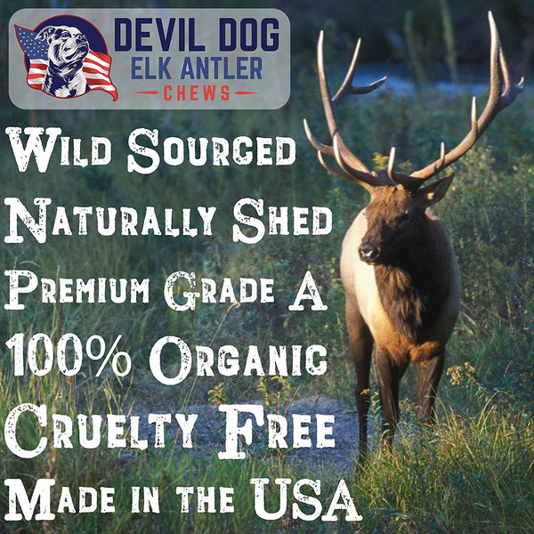 Premium Elk Antlers Dogs | All Natural Antler Dog Chew Elk Bone | Healthy & Long Lasting Aggressive Chewers | Wild Sourced in The USA - Veteran Owned