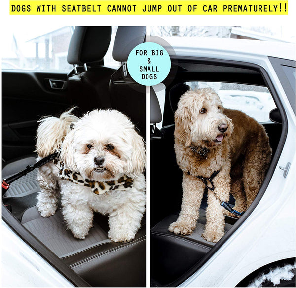 Samson & Harley Heavy-Duty Dog Seatbelts 2-Pack - Adjustable Elastic Reflective for Small, Medium, Large Dogs - Attaches to Harness & Clips into Car Buckle