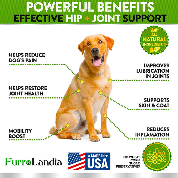 FurroLandia Hemp Hip & Joint Supplement for Dogs - 170 Soft Chews - Made in USA - Glucosamine for Dogs - Chondroitin - MSM - Turmeric - Hemp Seed Oil - Natural Pain Relief & Mobility