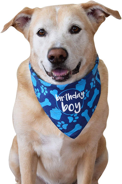 hecho Dog Birthday Bandana - Boy