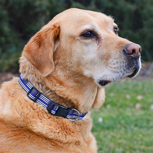 Native Pup Thin Blue Line Flag Dog Collar