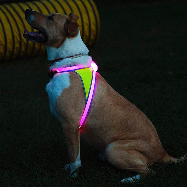 noxgear LightHound – Revolutionary Illuminated and Reflective Harness for Dogs Including Multicolored LED Fiber Optics (USB Rechargeable, Adjustable, Lightweight, Rainproof)