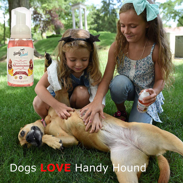 Handy Hound Foaming No Rinse Shampoo for Dogs or Cats | All-Natural Dry Waterless Pet Shampoo to Safely Remove Pet Odors | 9oz\/266ml, Made in USA.