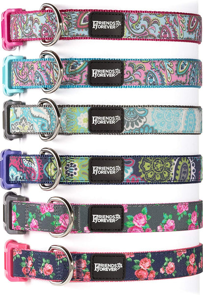 Friends Forever Paisley Dog Collar for Dogs, Fashion Print Garden Pattern, Cute Puppy Collar, Available in Size Small\/Medium\/Large