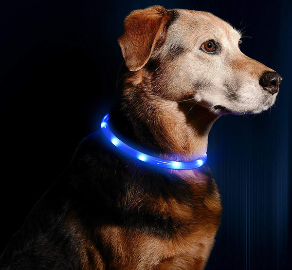 Illumiseen LED Dog Necklace Collar - USB Rechargeable Loop - Available in 6 Colors - Makes Your Dog Visible, Safe & Seen