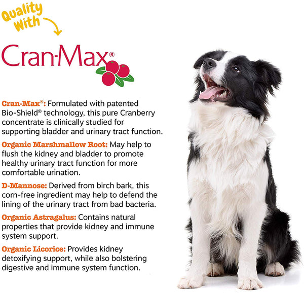 Zesty Paws Cranberry for Dogs - UT Incontinence Support + Immune Health Dog Antioxidant - Urinary Tract UTI & Kidney + Bladder Support - D-Mannose + Organic Marshmallow & Licorice