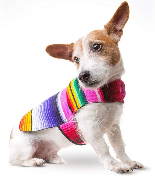 Handmade Dog Poncho from Mexican Serape Blanket - Dog Clothes - Coat - Costume - Sweater - Vest