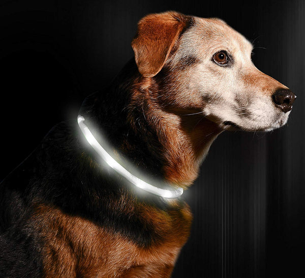 Illumiseen LED Dog Necklace Collar - USB Rechargeable Loop - Available in 6 Colors - Makes Your Dog Visible, Safe & Seen