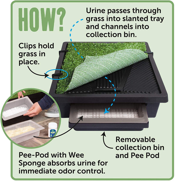 PetSafe Pet Loo Portable Indoor\/Outdoor Dog Potty, Alternative to Puppy Pads, 3 Size Options for Small, Medium and Large Breeds