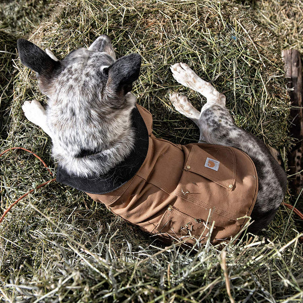Carhartt Chore Coat, Dog Vest, Water Repellent Cotton Duck Canvas