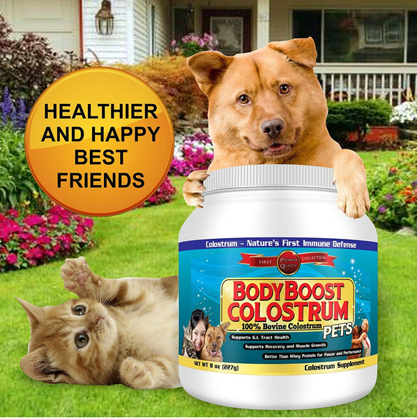 Colostrum Powder 8 oz. Pet, 100% Whole 1st Milking