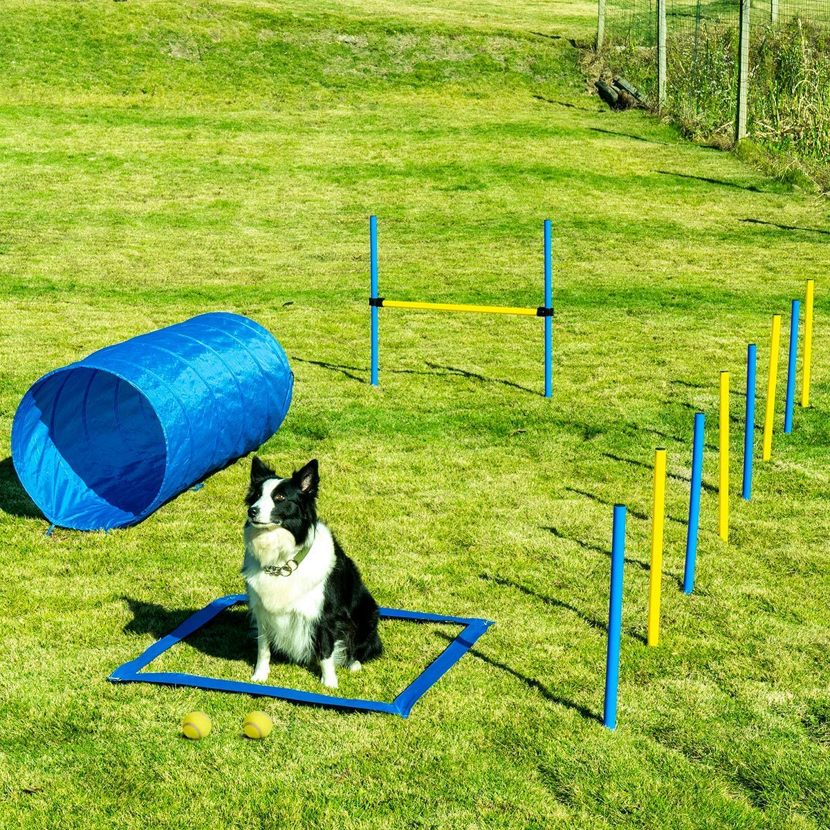 Sowsun Dog Agility Equipment, Outdoor Games Exercise Training Ostacle Couse Hurdles for Jumping Practice, Agility Starter Kit with Carrying Case