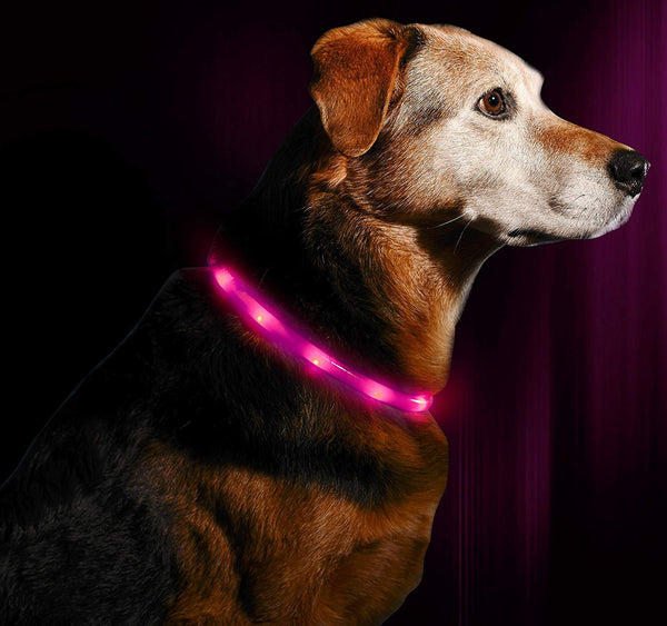 Illumiseen LED Dog Necklace Collar - USB Rechargeable Loop - Available in 6 Colors - Makes Your Dog Visible, Safe & Seen