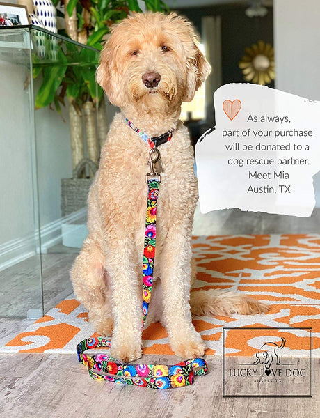 Lucky Love Dog Cute Female Dog Collar or Leash Set | Vivid Colorful Pretty and Unique Designs | Small Medium Large Girl Dogs | Floral Collar | Soft Your Purchase Helps Rescue Dogs