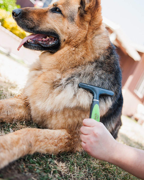 Pet Magasin Professional Grooming Brushes (Pack of 3) Double Sided Brush, Long Tooth Undercoat Dog Rake & De-Matting Comb for Dogs, Cats & Other Animals, Green & Black (DogBrushesTop)