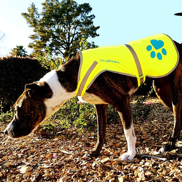 SafetyPUP XD - Protect Your Best Friend. Hi-Vis Fluorescent, Reflective Dog Vest Provides Crucial Visibility Helping You Safeguard Your Pet from Cars & Rural Accidents, On or Off Leash